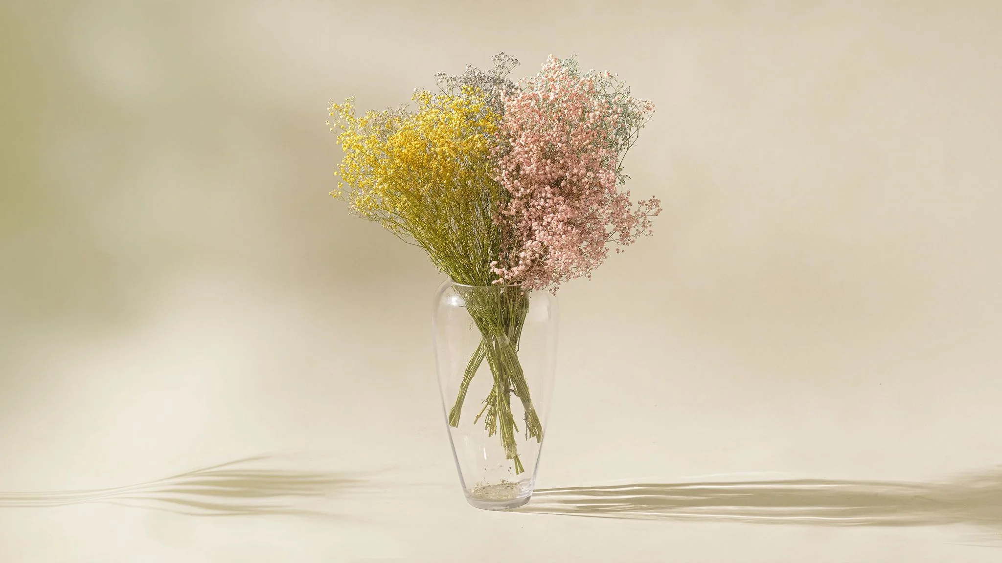 7 Amazing Advantages of Giving a Dried Flower Gift on Valentine's Day