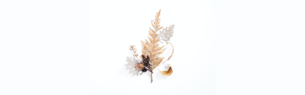 Easy Guide to Taking Care of Dried Flowers
