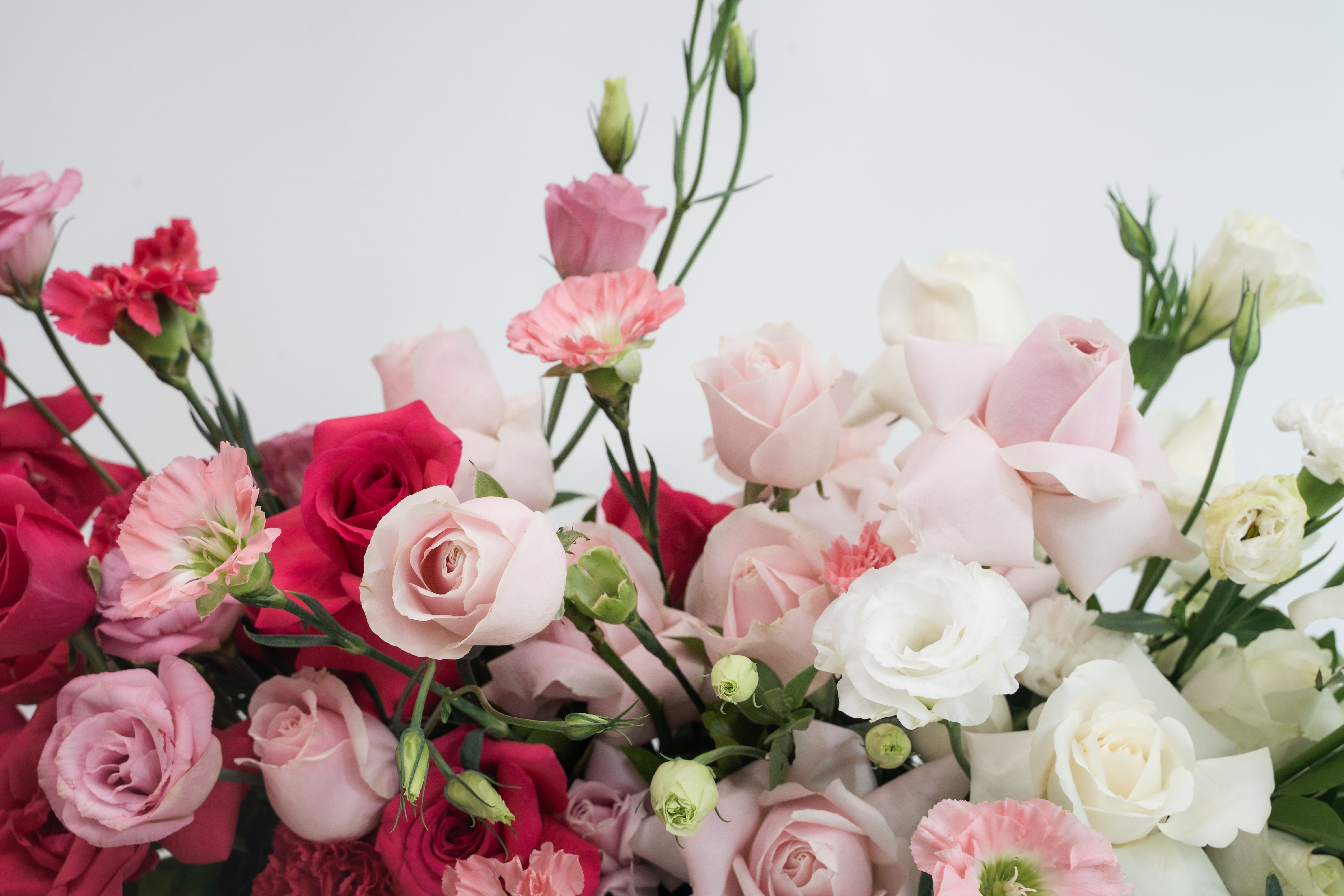 Say It with Roses – Farmerr’s Valentine’s Day Special in Bangalore
