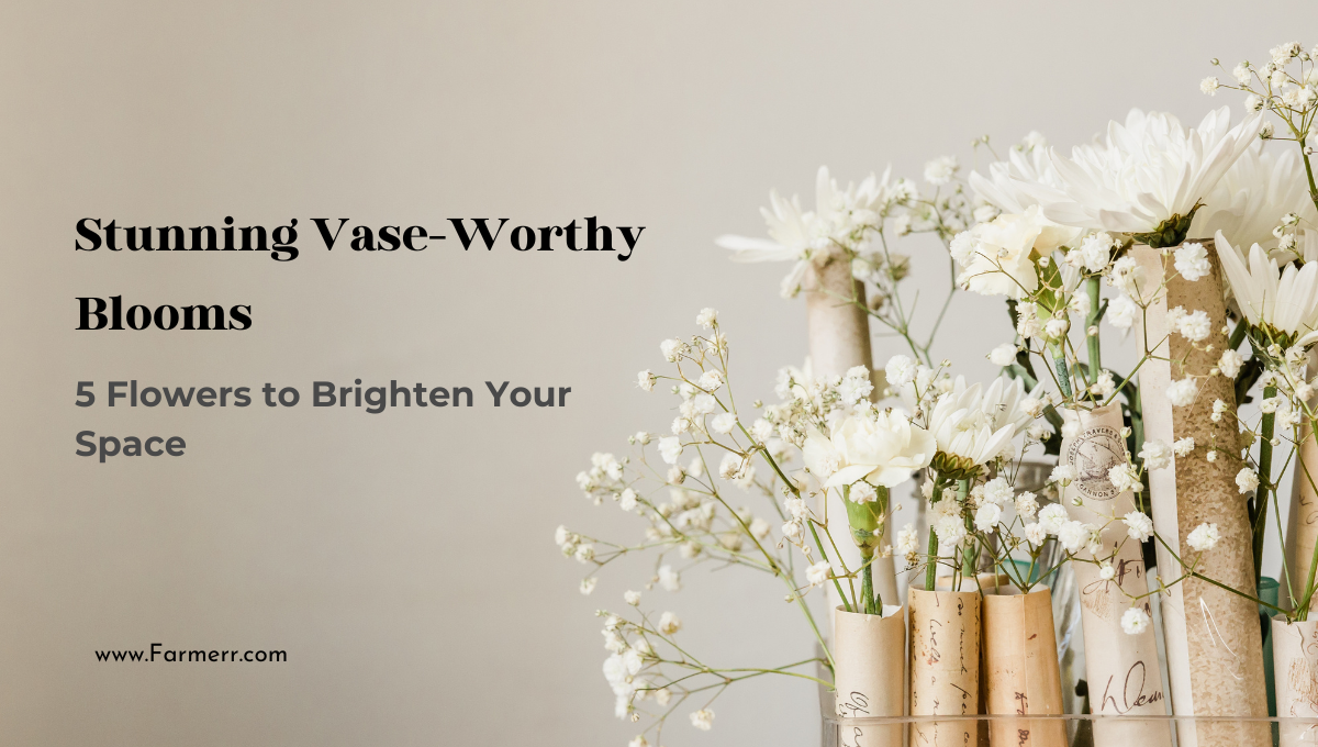 Stunning Vase-Worthy Blooms: 5 Flowers to Brighten Your Space