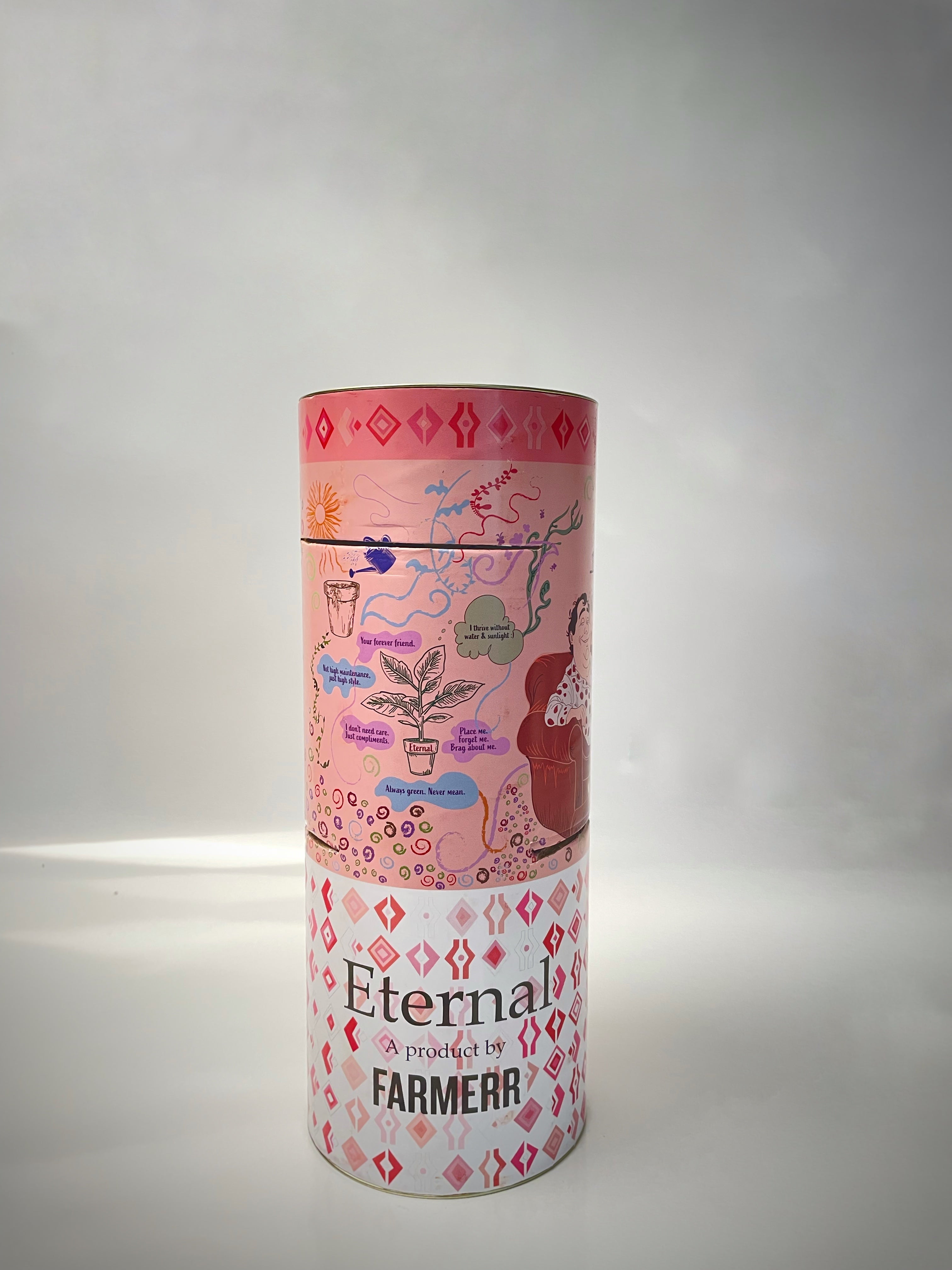 Preserved Asparagus Plant(Lasts 5 years)