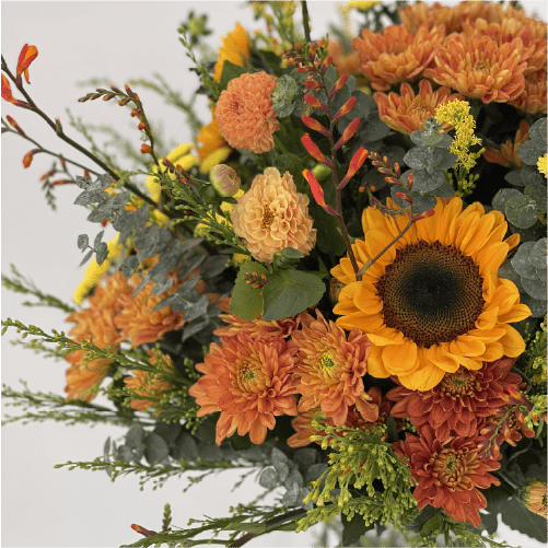 Farmerr Florist's Pick