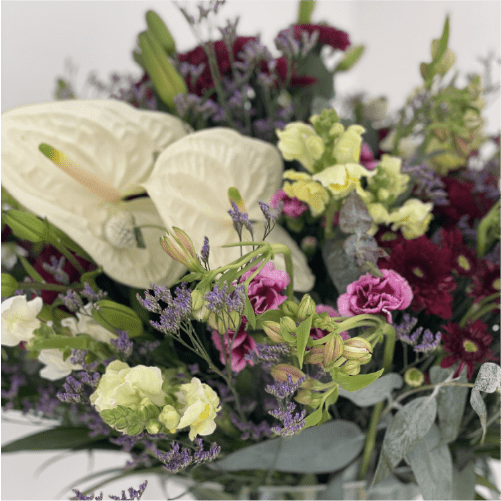Farmerr Florist's Pick