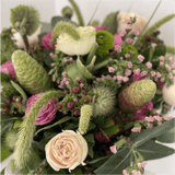 Farmerr Florist's Pick