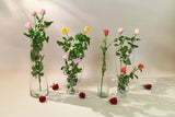 Buy Roses Online Bangalore, roses in bangalore, rose near me, Best Rose Shop Bangalore, Online Rose Delivery Bangalore