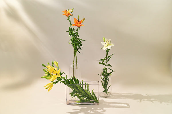 lily flower price in india Asiatic Lily
