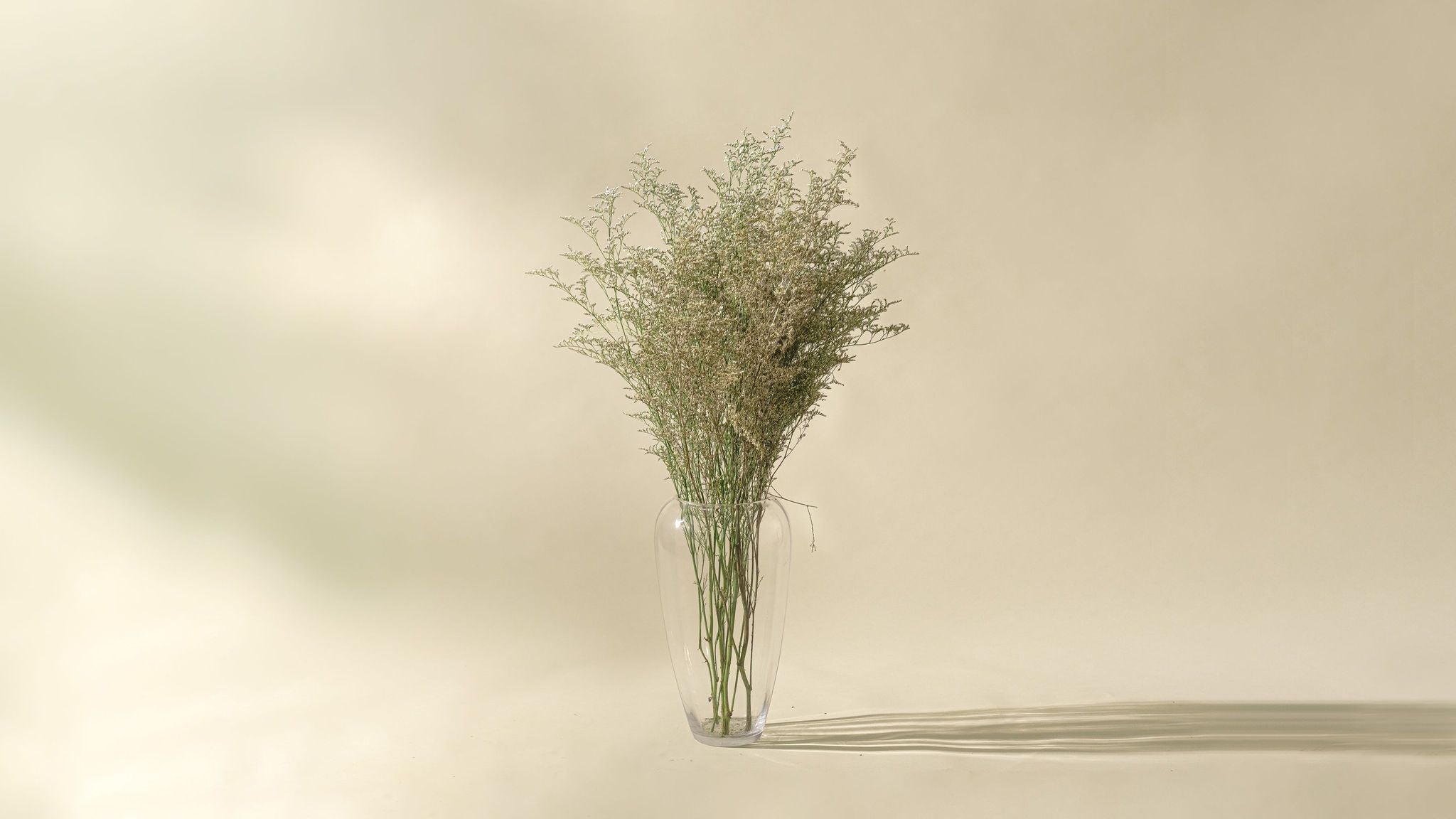 Naturally Dried Limonium