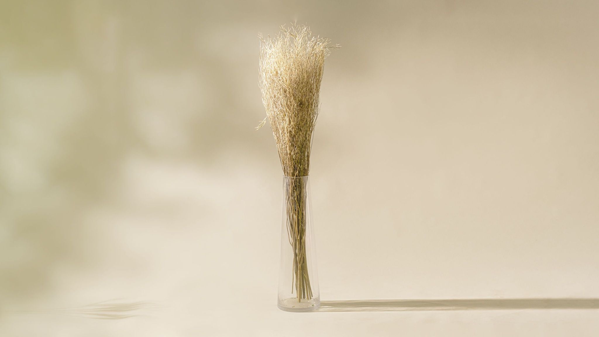 Naturally Dried Mustard (Bunch of 10 stems)
