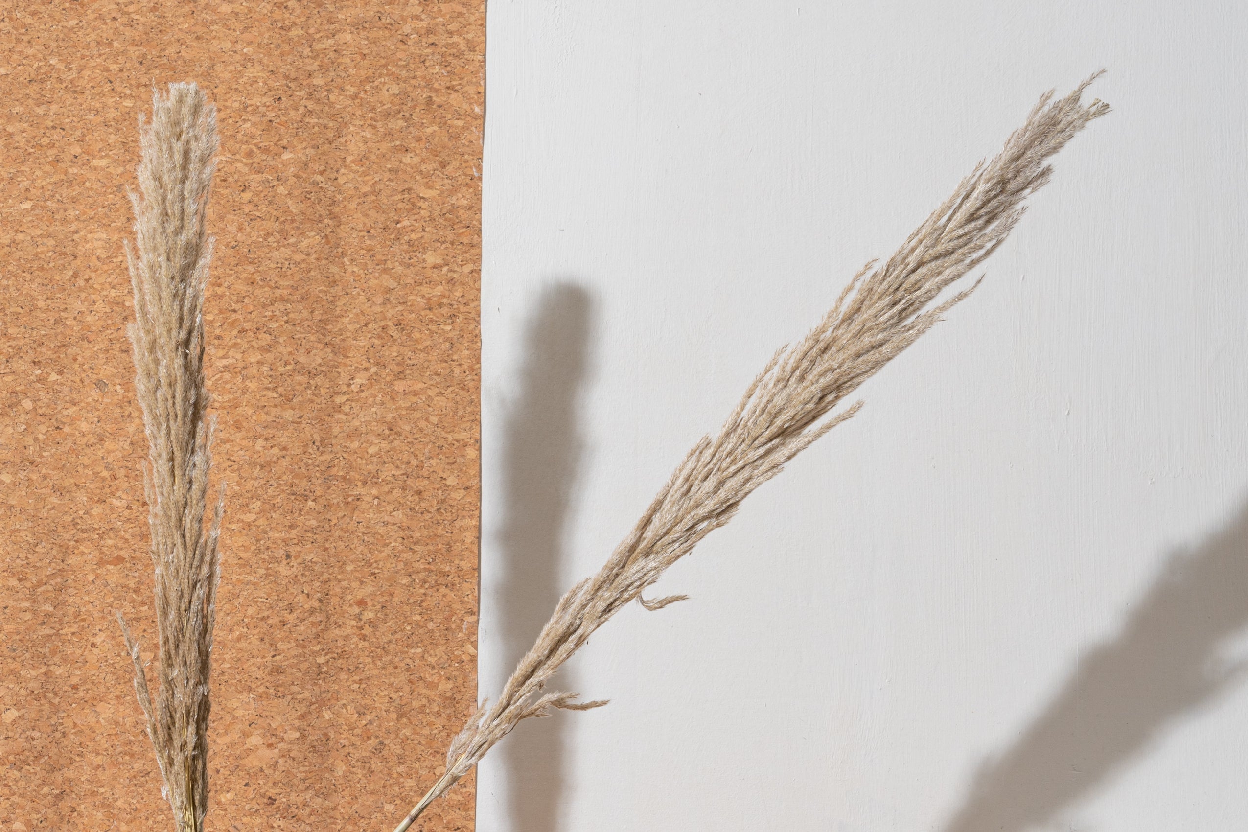 Naturally Dried Pampas Grass (Bunch of 10 stems)