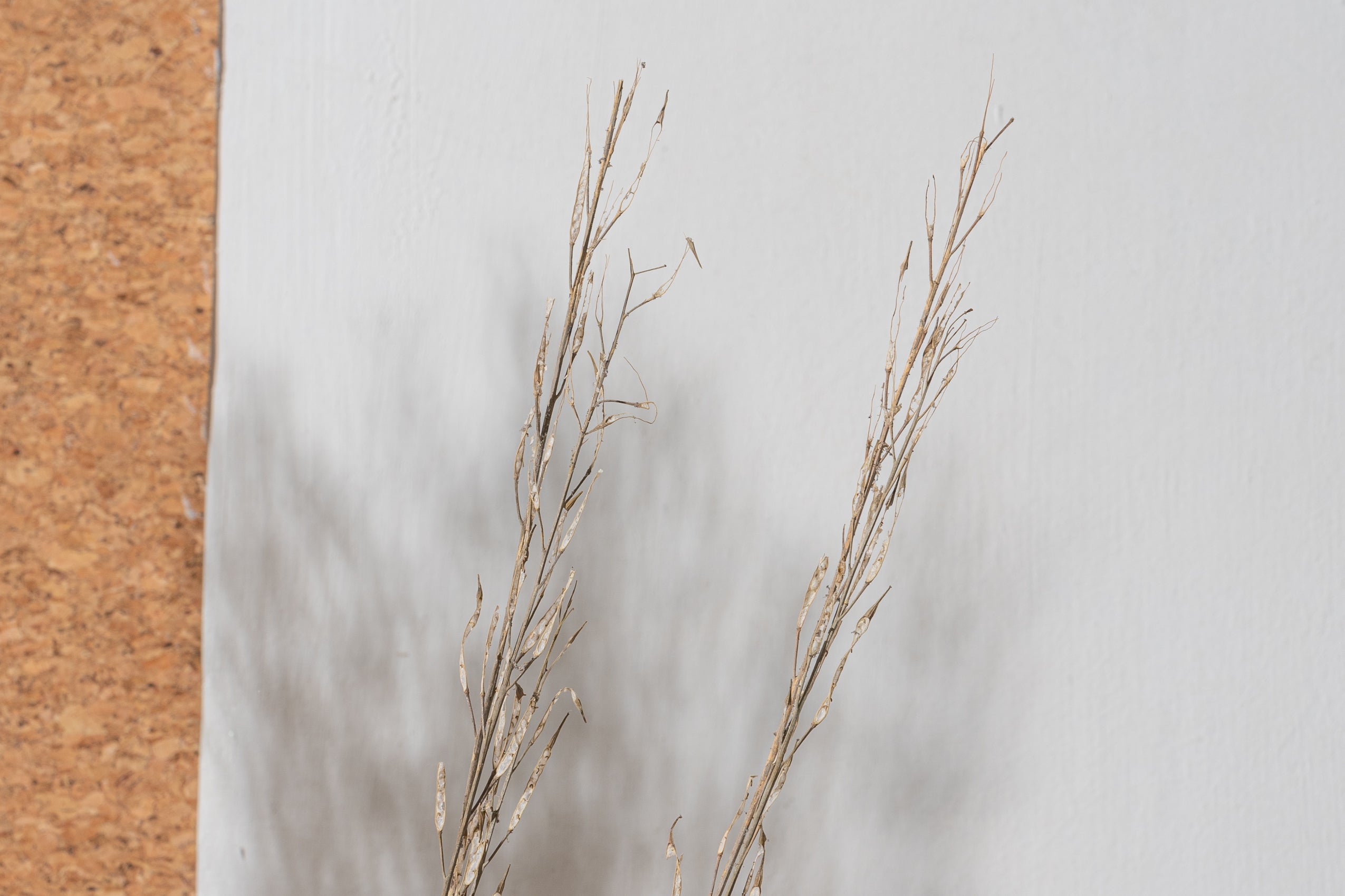 Naturally Dried Mustard (Bunch of 10 stems)