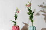 Eustoma