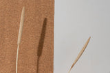 Naturally Dried Bajra (Bunch of 5 stems)