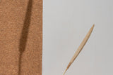 Naturally Dried Bajra (Bunch of 5 stems)