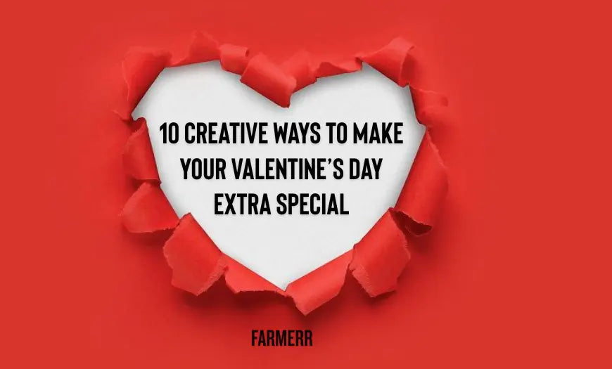 10 Creative Ways to Make Your Valentine’s Day Extra Special - Farmerr