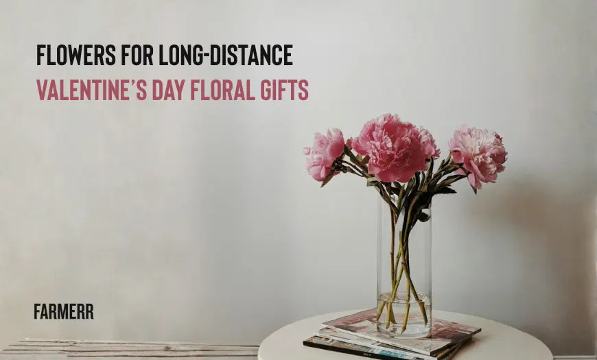 Flowers for Long-Distance Valentine’s Day Floral Gifts - Farmerr