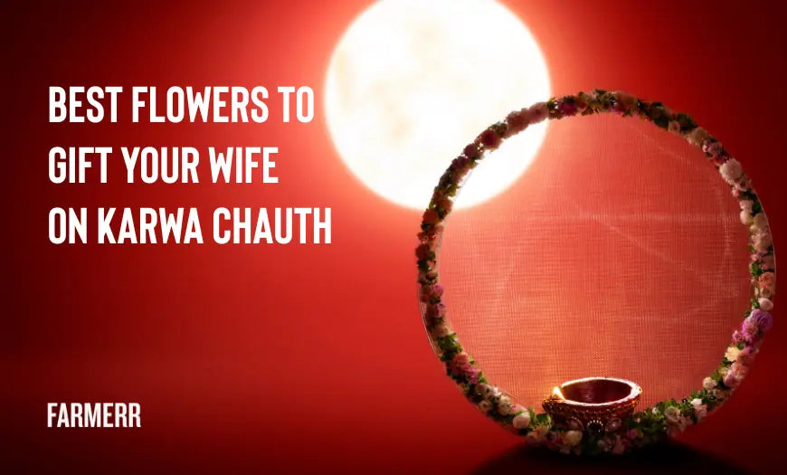 Best Flowers to Gift Your Wife on Karwa Chauth - Farmerr