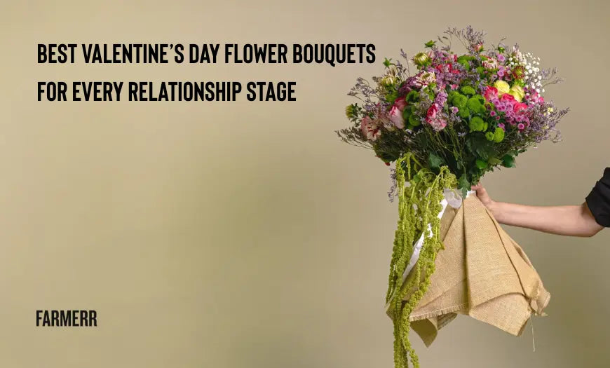 Best Valentine’s Day Flower Bouquets for Every Relationship - Farmerr