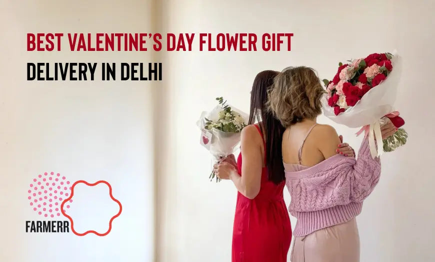Best Valentine’s Day Flower Gift Delivery in Delhi - Farmerr