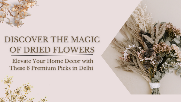 Discover the Magic of Dried Flowers: Elevate Your Home Decor with These 6 Premium Picks in Delhi