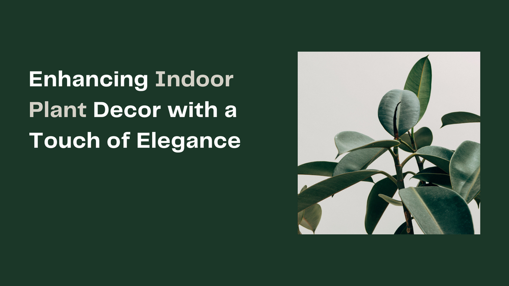 How to add a touch of elegance to indoor plant decor