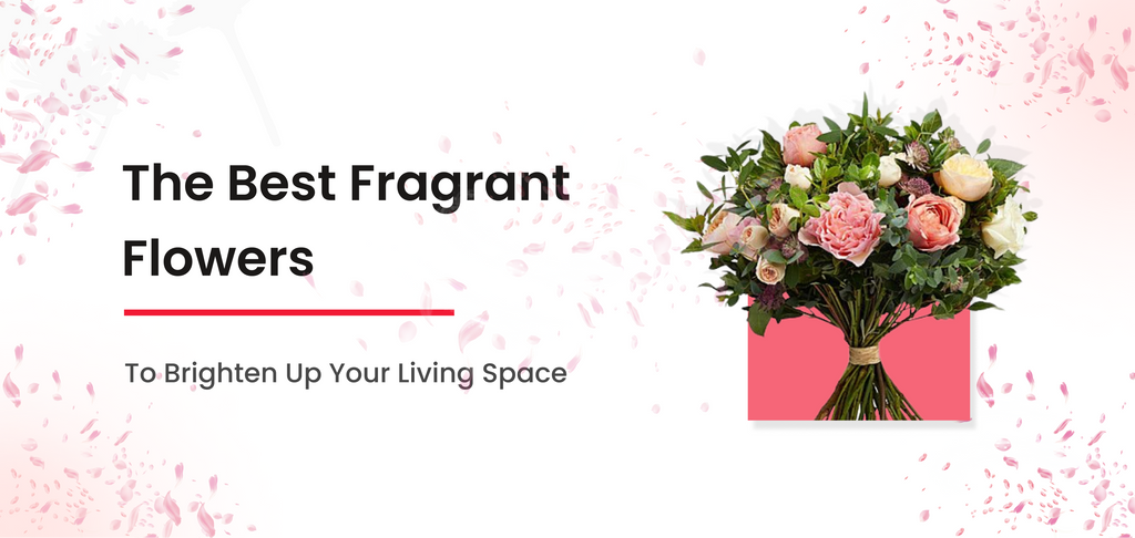 The Best Fragrant Flowers to Brighten Up Your Living Space