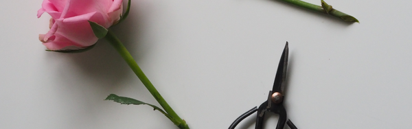 How To Make Your Flowers Last Longer