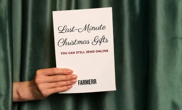 Last-Minute Christmas Gifts You Can Still Send Online - Farmerr