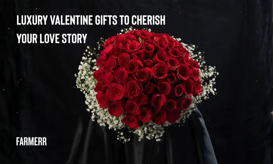Luxury Valentine Gifts To Cherish Your Lovestory - Farmerr