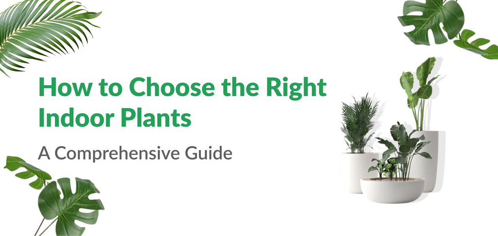 How to Choose the Right Indoor Plants: A Comprehensive Guide