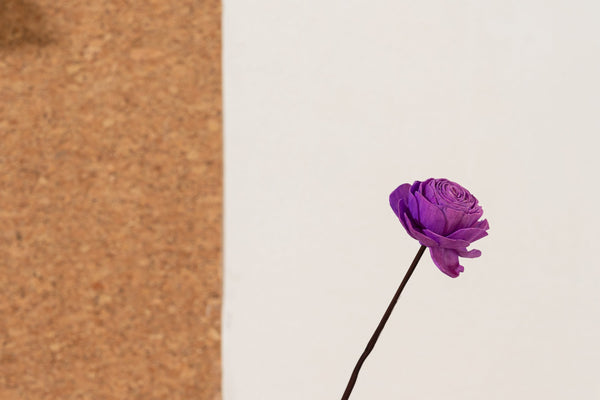 Rose Near Me | Fresh Roses Delivered in Bangalore – Farmerr