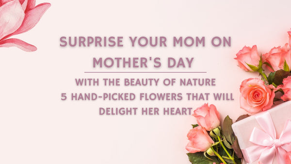 Surprise Your Mom on Mother's Day with the Beauty of Nature: 5 Hand-Picked Flowers That Will Delight Her Heart