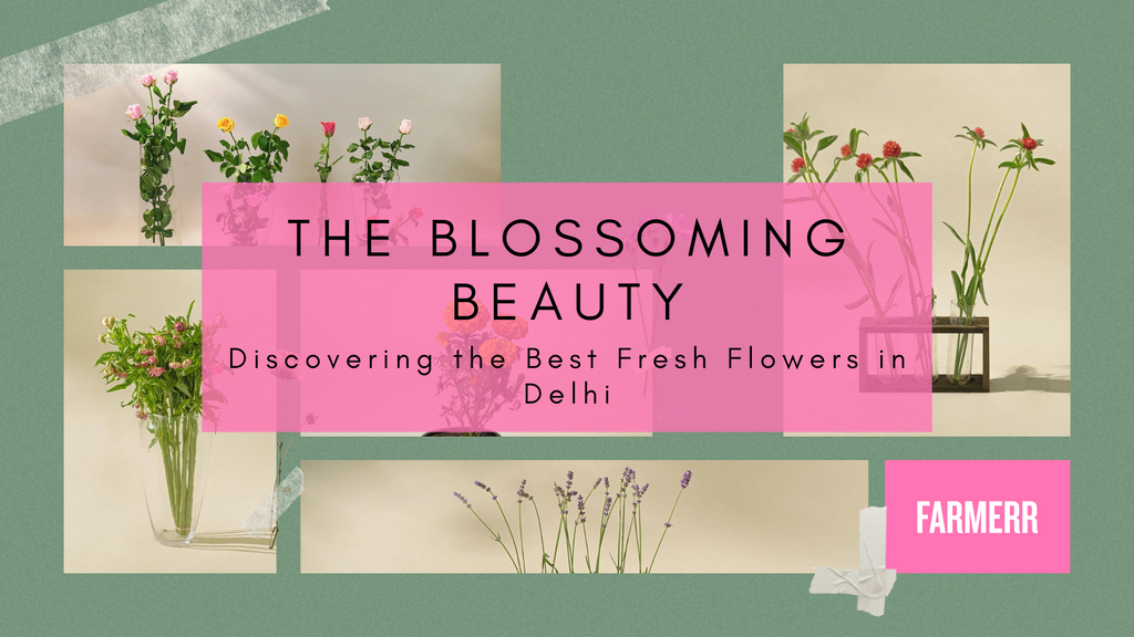 The Blossoming Beauty: Discovering the Best Fresh Flowers in Delhi
