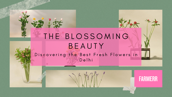 The Blossoming Beauty: Discovering the Best Fresh Flowers in Delhi