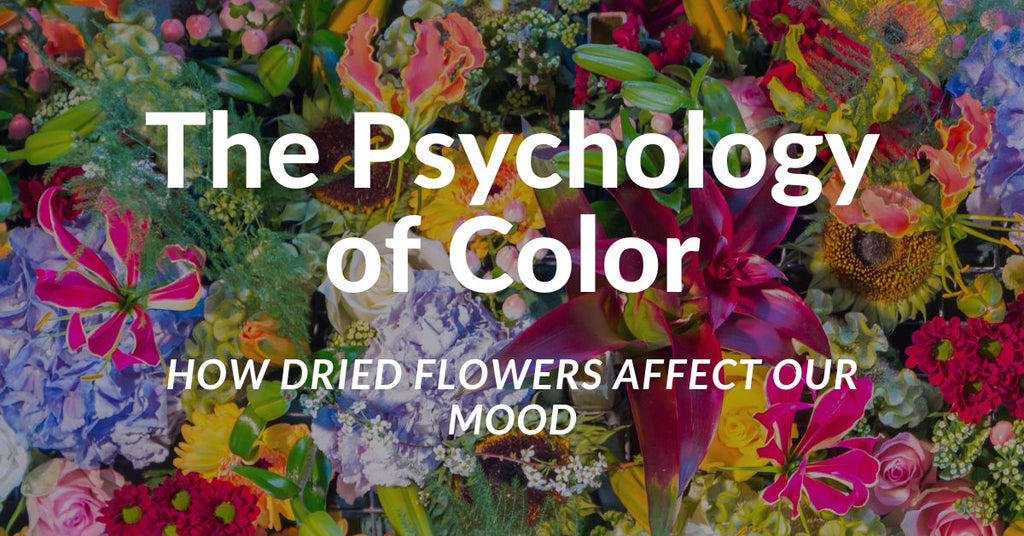 The Psychology of Color: How Dried Flowers Affect Our Mood