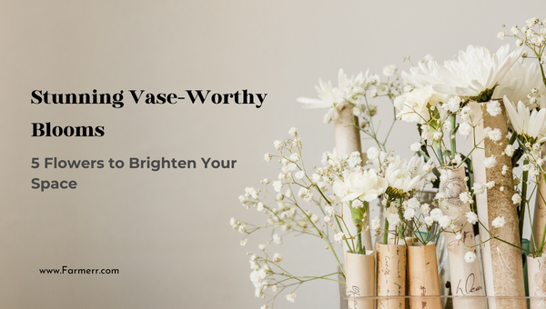 Stunning Vase-Worthy Blooms: 5 Flowers to Brighten Your Space