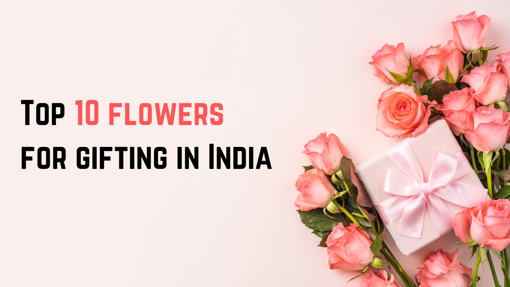 Unveiling the Best Flowers to Gift Top 10 flowers Trending Options