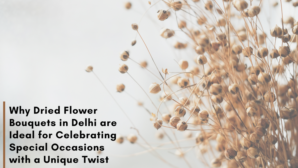 Why Dried Flower Bouquets in Delhi are Ideal for Celebrating Special Occasions with a Unique Twist