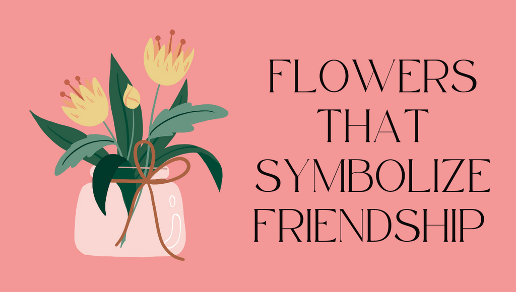 Flowers That Symbolize Friendship