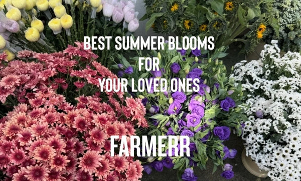 Best Summer Blooms For Your Loved Ones - Farmerr
