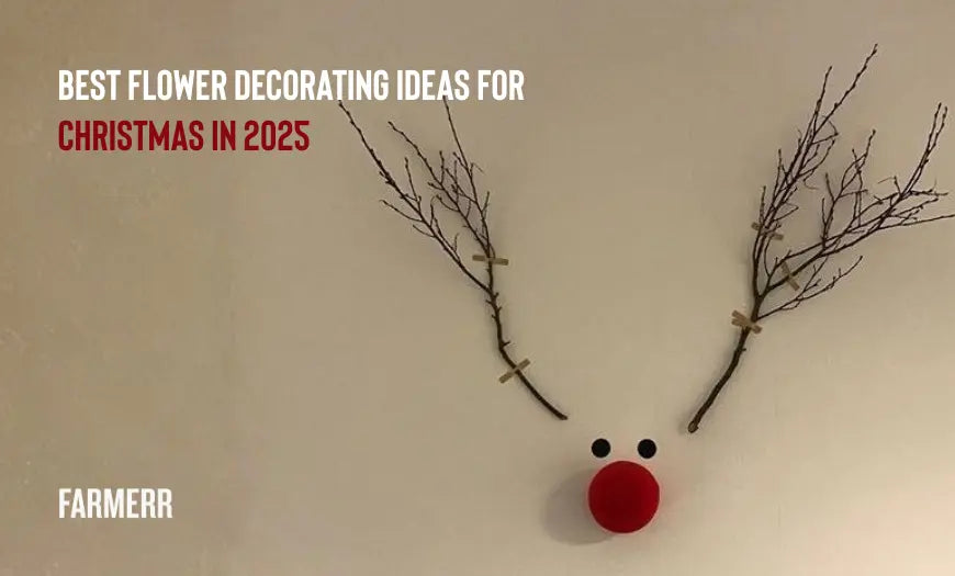 Best Flower Decorating Ideas for Christmas