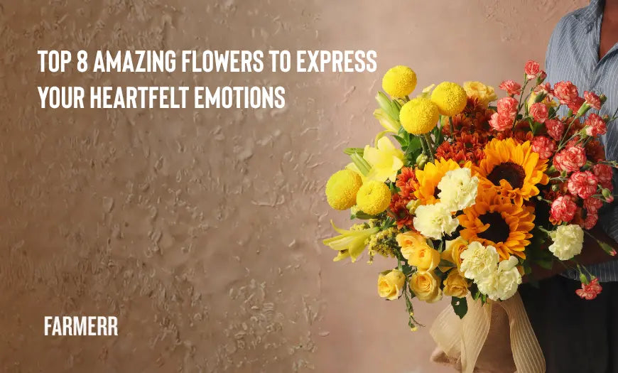 Top 8 Amazing Flowers To Express Your Heartfelt Emotions - Farmerr