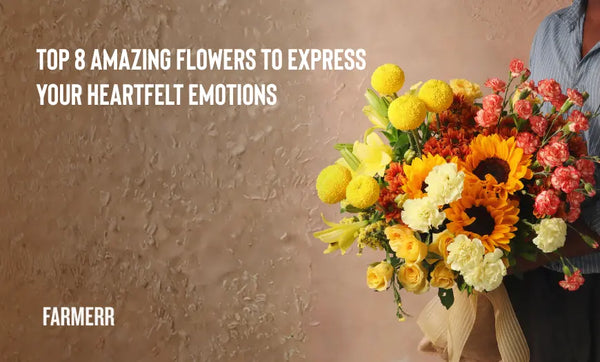 Top 8 Amazing Flowers To Express Your Heartfelt Emotions - Farmerr