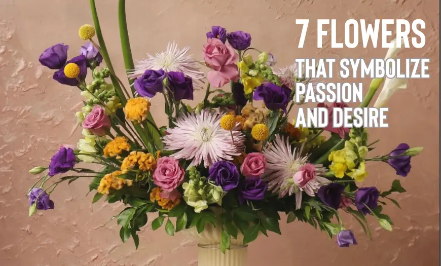 7 Flowers That Symbolize Passion and Desire - Farmerr