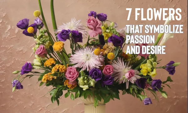 7 Flowers That Symbolize Passion and Desire - Farmerr