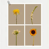 Brighten your space - 2