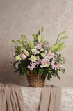 Baby’s Breath 2.0