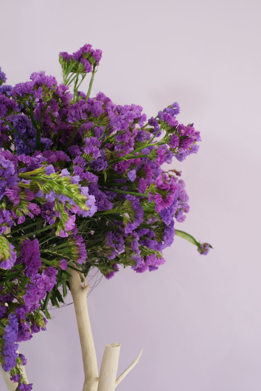 Buy Flower Bouquet Gift Delivery in Bangalore Farmerr farmerr.in