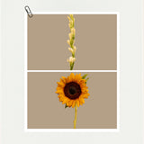 Brighten your space - 1