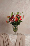 Blush Of Romance
