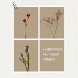 The longest- lasting blooms